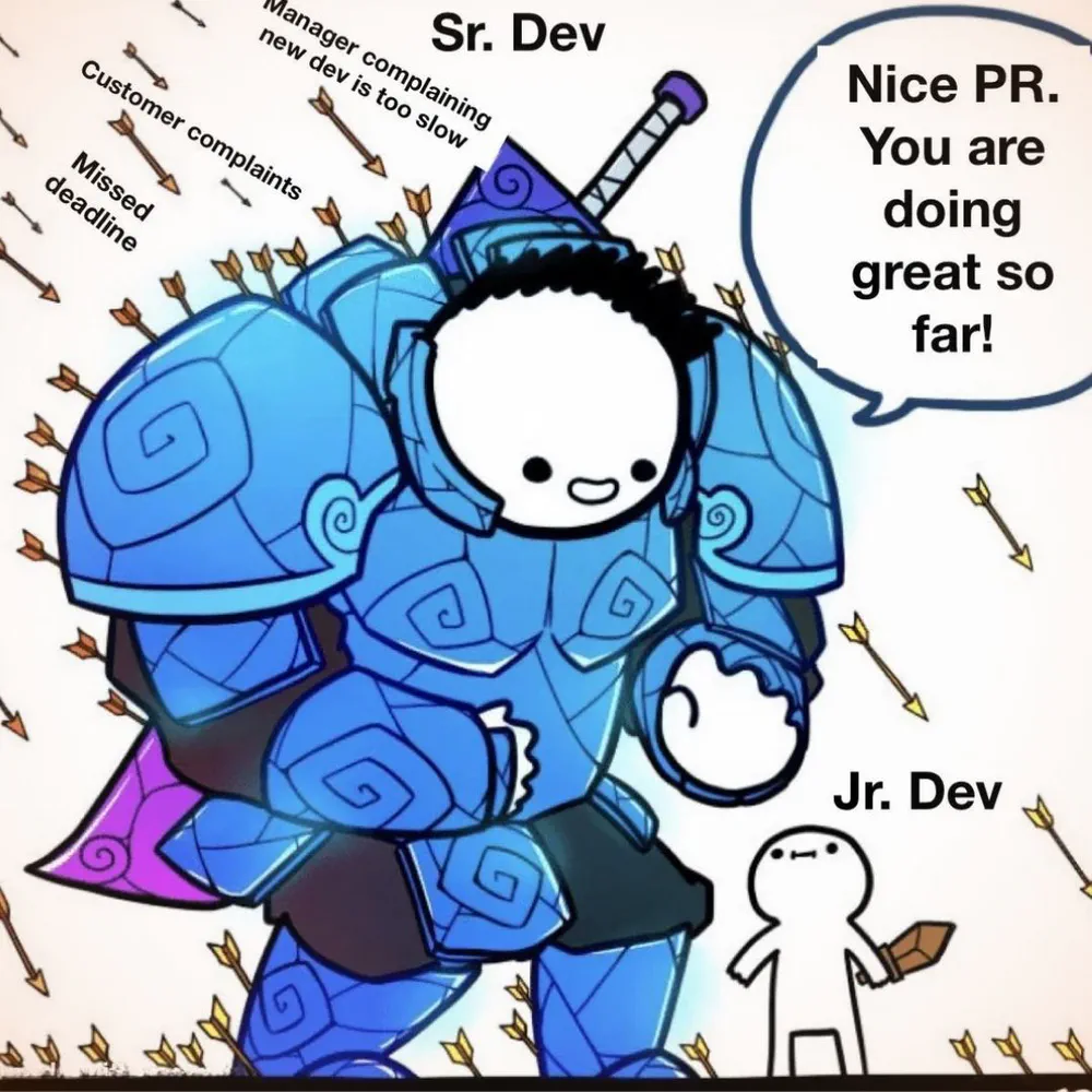 Be the leader you wanted as a junior dev